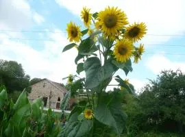 Gîte Tranquille avec Cheminée, Terrasse sur la Saône et Borne EV, Animaux Bienvenus - FR-1-589-103
