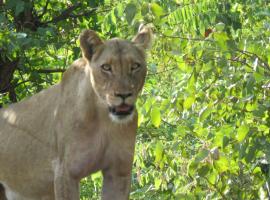 Mutsami Private Bush Lodge, lodge i Phalaborwa