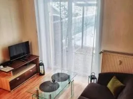 Apartamenty Green Garden z ogrodem i przyjazne dla zwierząt, Racibórz