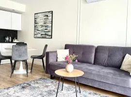 Apartament Elegant 2