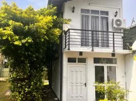 Elegance Villa