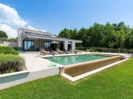 Modern villa Damian with jacuzzi near Porec