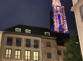 Les toits de Gutenberg, hotel in Straatsburg