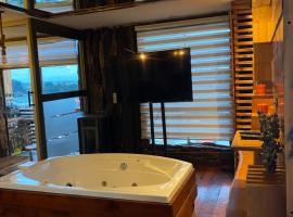 Temuco Centro Depto rústico incluye estacionamiento, estufa pellet Excelente evaluación en otras plataformas, хотел в Темуко