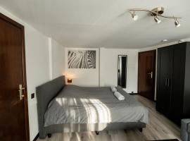 Le Studio by La Reine City Center, hotel in Spa