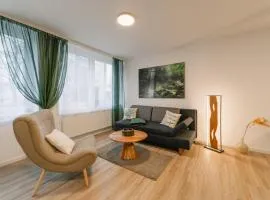 Modernes 2-Zimmer Themen-Apartment "Frankenwald" im Zentrum