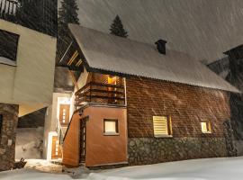 Villa Strahinja Lux Jahorina, handicapvenligt hotel i Jahorina
