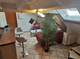 Appartement cozy avec mezzanine, hotel en Souppes-sur-Loing