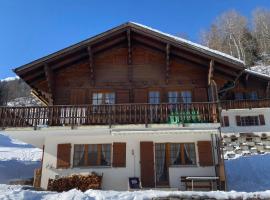 Chalet Bellwald，Ritzingen的公寓