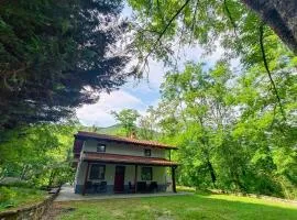 Britof Forest House in Chestnut Valley
