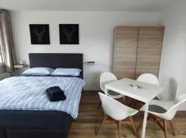 Ferienwohnung mit Blick in den Bayrischen Wald oberhalb von Sankt Engelmar