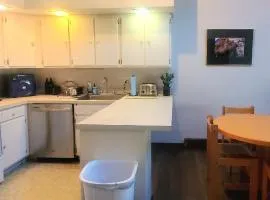 Gateway Condo A25