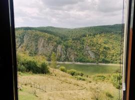 Apartments Stari Jasen Uvac, homestay in Družiniće