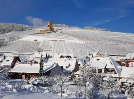 Sur la Route des Vins- très proche Colmar – hotel w mieście Katzenthal