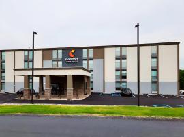 Comfort Inn & Suites Wyomissing-Reading，懷俄米興的飯店