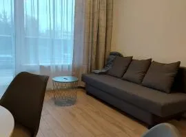 2 kambarių butas ramioje vietoje