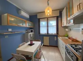Chicco Light by Cinelli Apartment