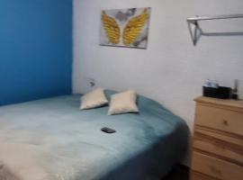 Visita Pachuca junto a familia , 2 Recamaras 1- cama ks , Recamara 2 -1 Cama KS , baño privado , 1 Comedor (Refrigerador, desayunador, estufa ), apartment in Pachuca de Soto