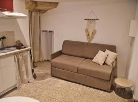 Beaucaire cocoon 1 /quais/cité médiévale/nature