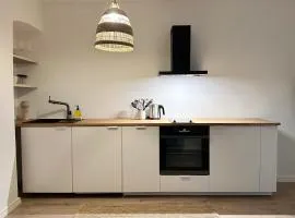 Tallinn Central City apartment