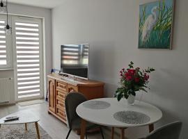 Apartament Londyńska 9a, apartamentai mieste Gožuvas