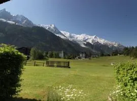 Le Savoy - Terrasse avec vue sur le Mont-Blanc
