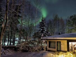 The Blueberry Inn, guest house in Rovaniemi
