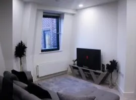 Cosy Central Bedford Apt - Free Parking, Gym, Netflix & Sky