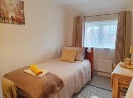 Bright room with private toilet and shared bathroom, suitable for a professional