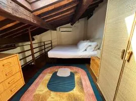 Spacious apartment near Arno river