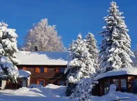 Guest House Sněžník