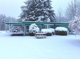 PATIO MOTOR COURT, motel Carrollban