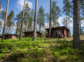 Ahvenlampi Camping Hostel, hotel in Saarijärvi