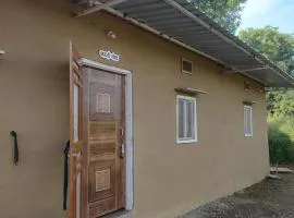 Vasant Bamboo Cottage