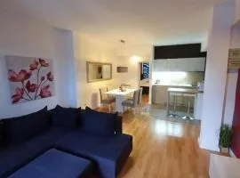 Apartment in Vodice with terrace, air conditioning, WiFi (4323-2)