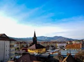 Garsoniera Trotuș Comănești