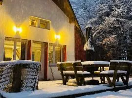 Chalet cosy entre lacs et montagnes
