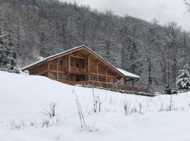 Chalet savoyard d'exception avec piscine chauffée, Hütte in Bourg-Saint-Maurice