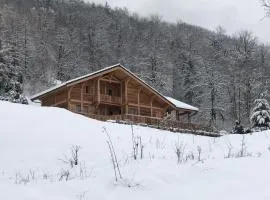 Chalet savoyard d'exception avec piscine chauffée