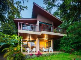 Puma Meraki Mountain View Monteverde