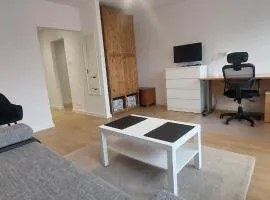 Apartament Koszutka - 100m od Spodka