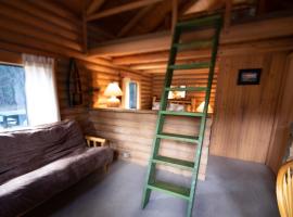 Experience Montana Cabins - Wildflower #3, hotel a Bigfork