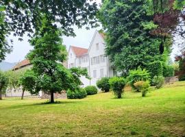 Domaine de la Moselle, bed & breakfast kohteessa Saint-Maurice-sur-Moselle