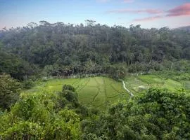 Black Penny Villas Ubud