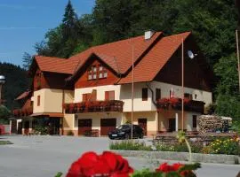 Pri Vidrgarju