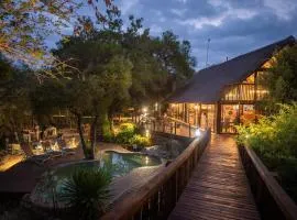 Panzi Lodge
