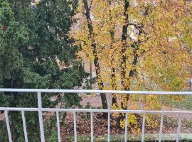 Meublé du 25 N°5 de tourisme 3*, hotel in Niederbronn-les-Bains