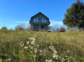 Fruska Gora Villa Medici, holiday home in Irig