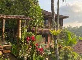 Hidden paradise