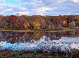 Smitten in da Mitten - 18 acres, Arcades, High Spd Web, Hot Tub, Pond!, vacation home in Berrien Springs